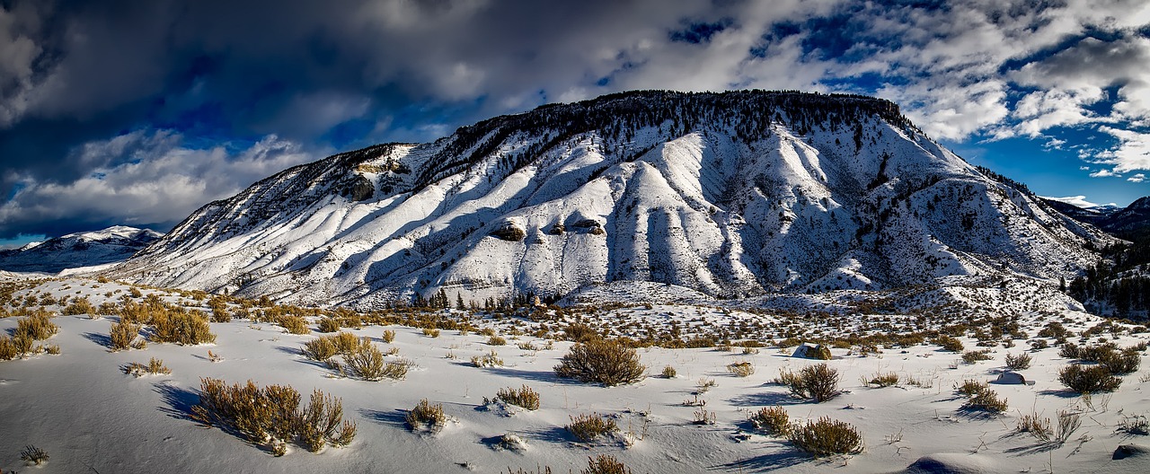 The Ultimate Guide to Snowmobiling in Yellowstone